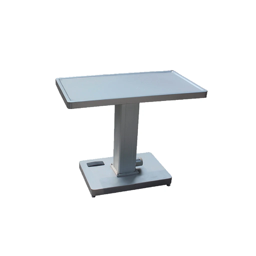 Animal Operating Table Veterinary Surgical Pet Treatment Table Pet Stainless Steel Disposal Table