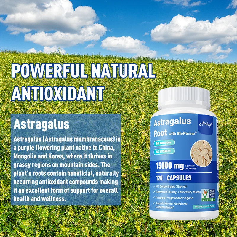 Astragalus Root Capsules - Immunity Booster, Stress Support, Heart and Liver Health