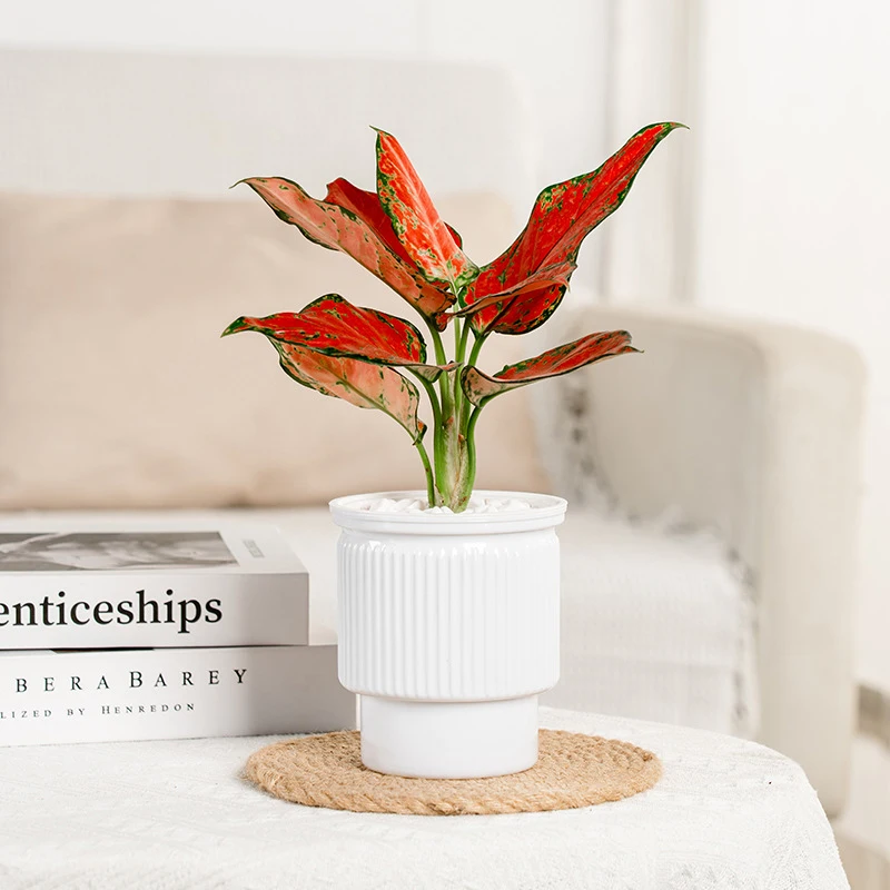 Creative Self-absorbent Transparent Water Culture Pot Small Potted Plant Ware Office Decoration