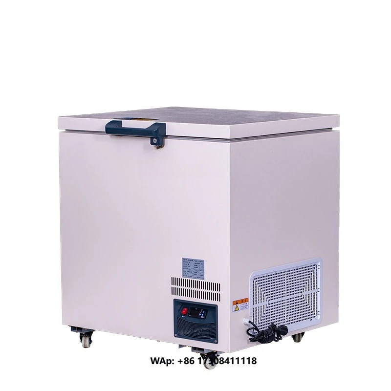168L -60C Chest Deep Freezer for Premium Seafood Sashimi Restaurant and Home Use