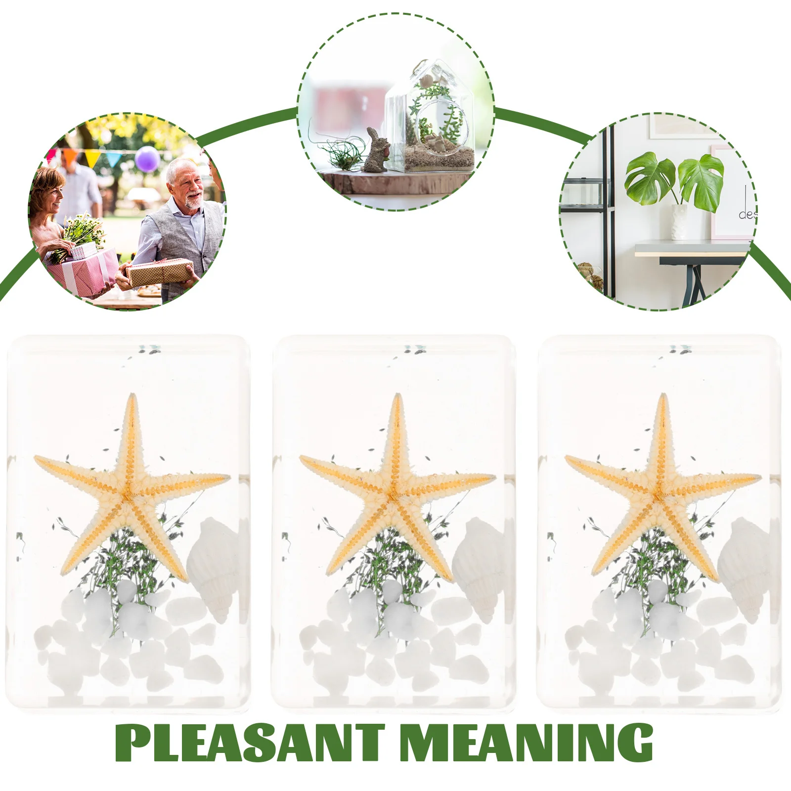 

3 Pcs Beach Specimen Ornaments Ocean Animals Artwork Desktop Decoration Sea