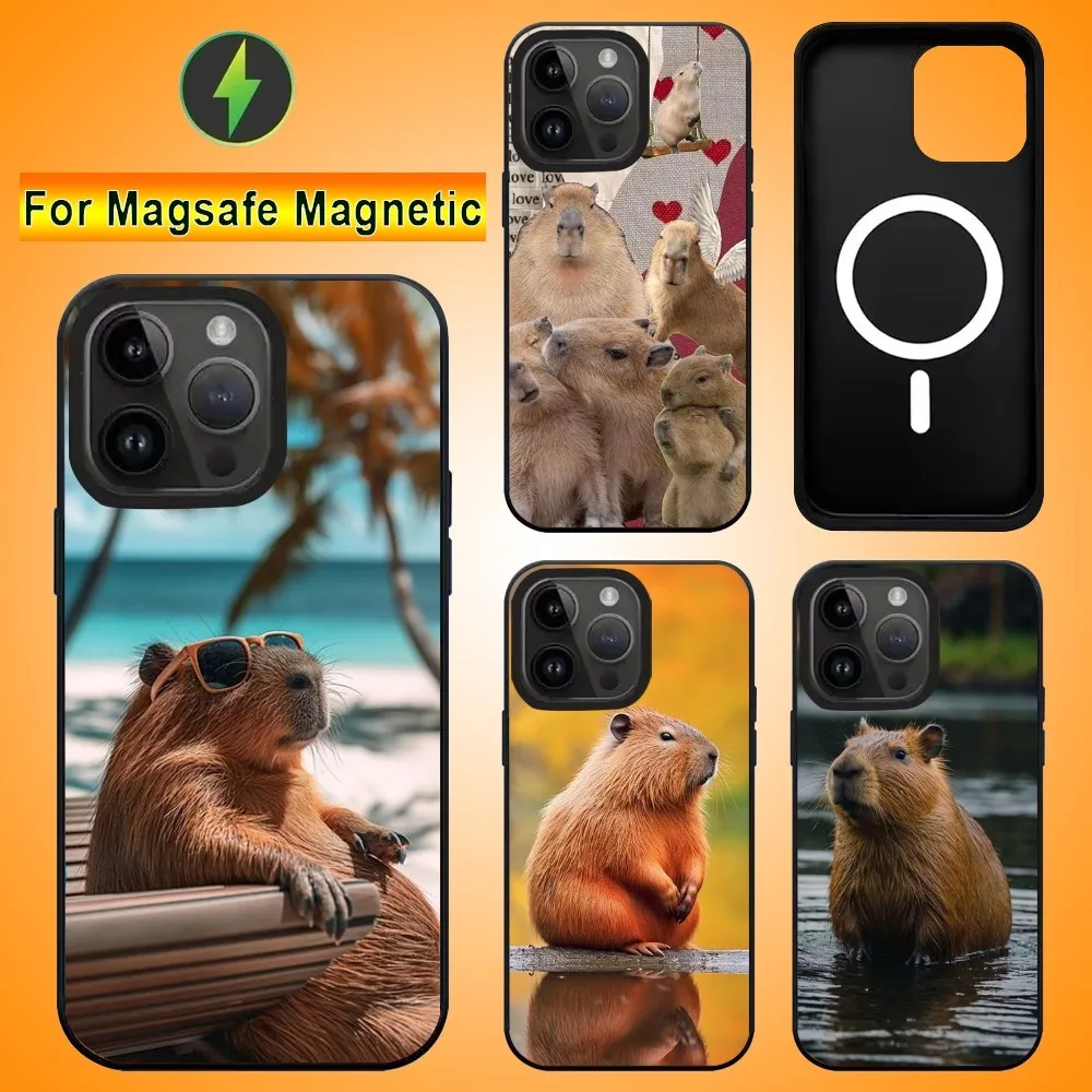 Divertida funda de teléfono Capybara para IPhone 15 14 13 Pro Max 11 12 Mini Alex Mirror para Magsafe, cubierta de carga inalámbrica