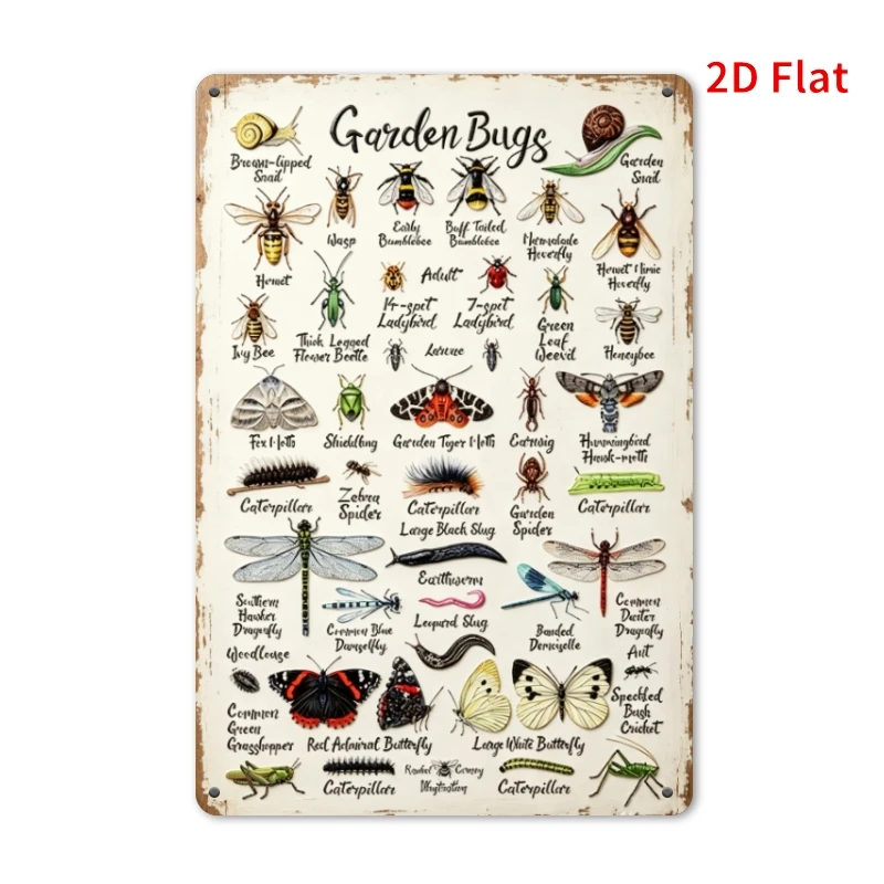 2D Flat, 2DFLAT [2D-plate] 1pc 