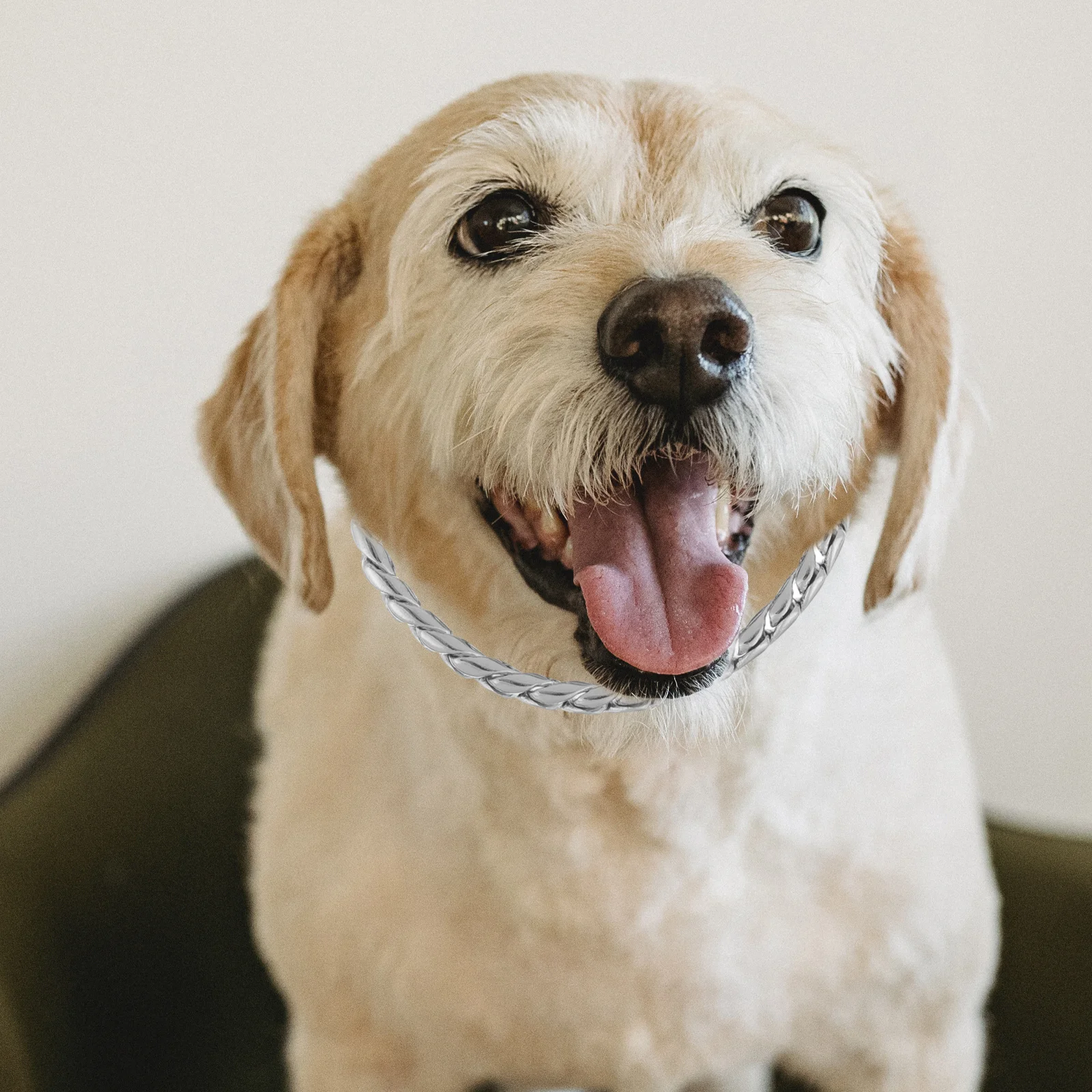 

Dog Chain Collar Stainless Steel Strong Bite Resistant Training Leash for Small Medium Dogs Smooth Safe Edges Stylish Pet