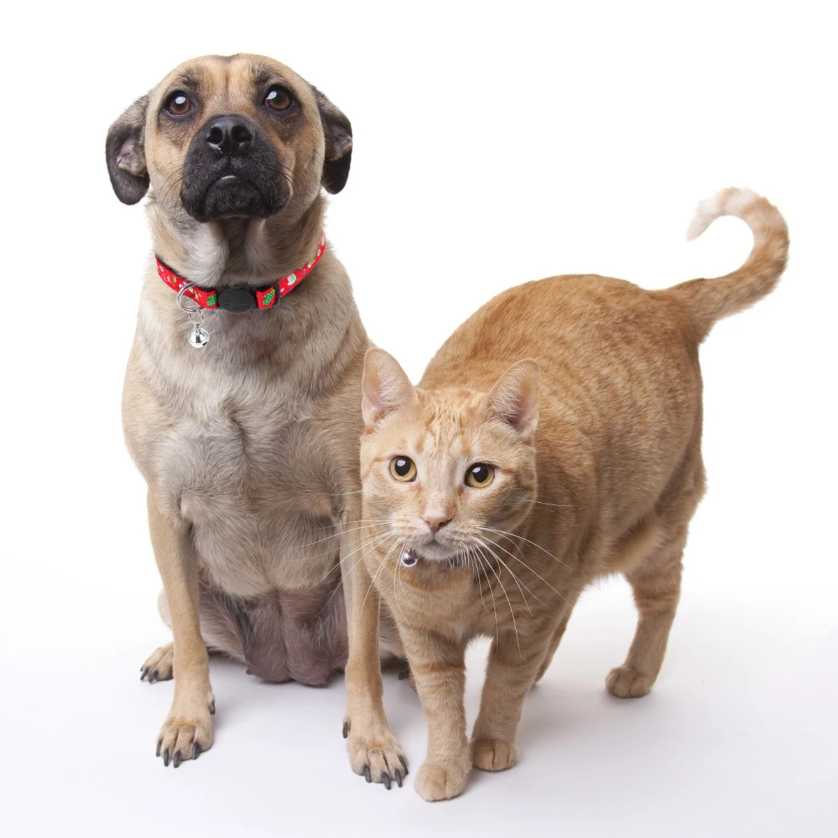 

4 Pcs Pet Collar with Unique Pattern Cat Necklace Chargeable Gift Bell Cloth for