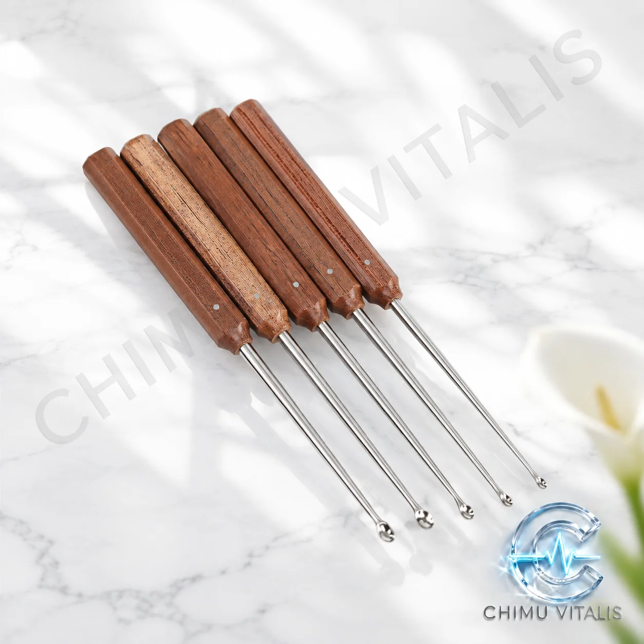 【CHIMU VITALIS】 Scraping Spoon Stainless Steel Instrument for Human and Veterinary Use