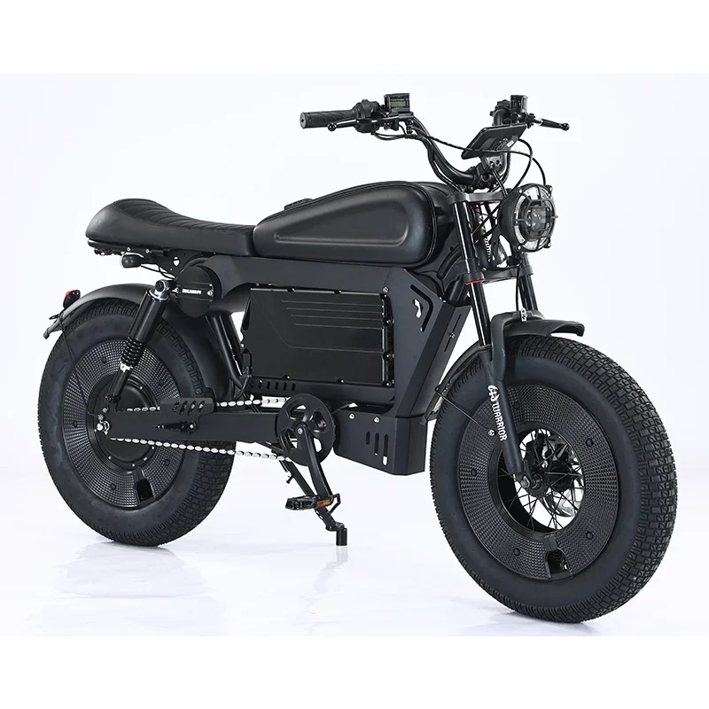 20inch 1500W 48V 33 Ah Hybrid Motorcycle Electric Bike Ebike