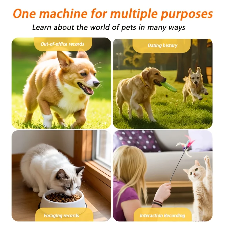 กล้องติดสัตว์เลี้ยงแบบแม่เหล็ก ความละเอียด 1080P Full HD มองเห็นในเวลากลางคืน บันทึกแบบวนซ้ำ แสดงผลวิดีโอแบบเรียลไทม์ เชื่อมต่อผ่าน USB สำหรับการดูแลสัตว์เลี้ยง