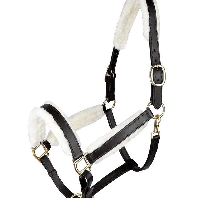 

Equestrian supplies, anti-wear, cowhide, bridle, harness, riding equipment
