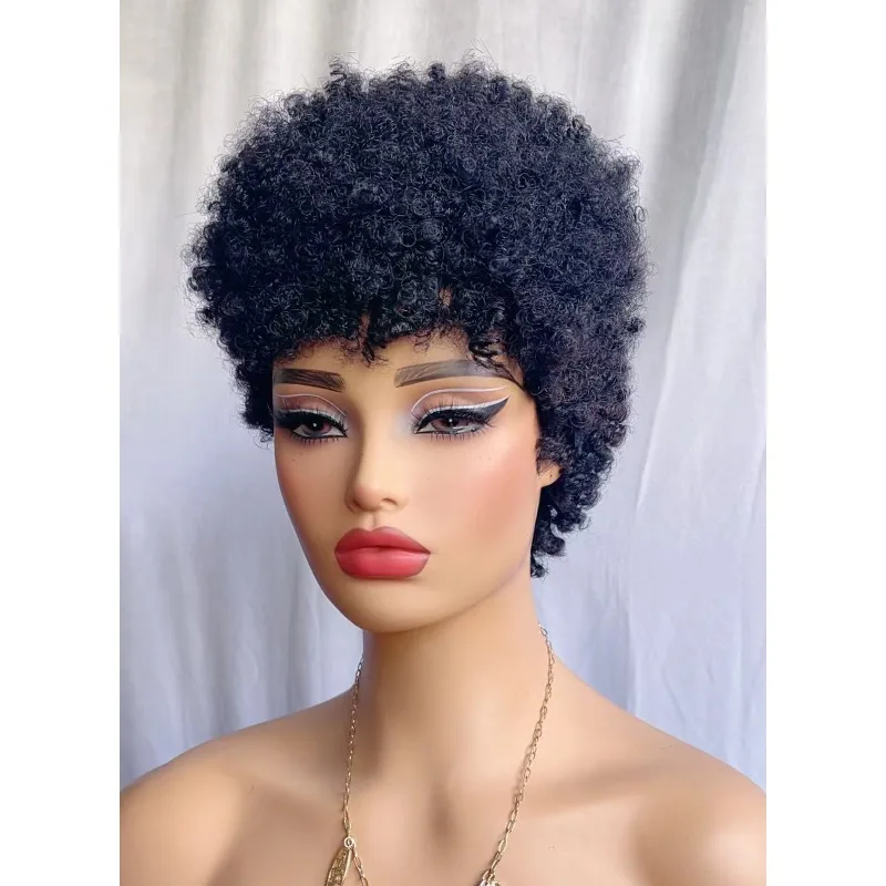 8 Zoll Afro Kinky Curly Echthaar Perücke mit Raupenlocken für Schwarze Frauen, 180% Dichte, Brasilianisches Remy-Haar, Vollmaschinenperücke – Detail 6