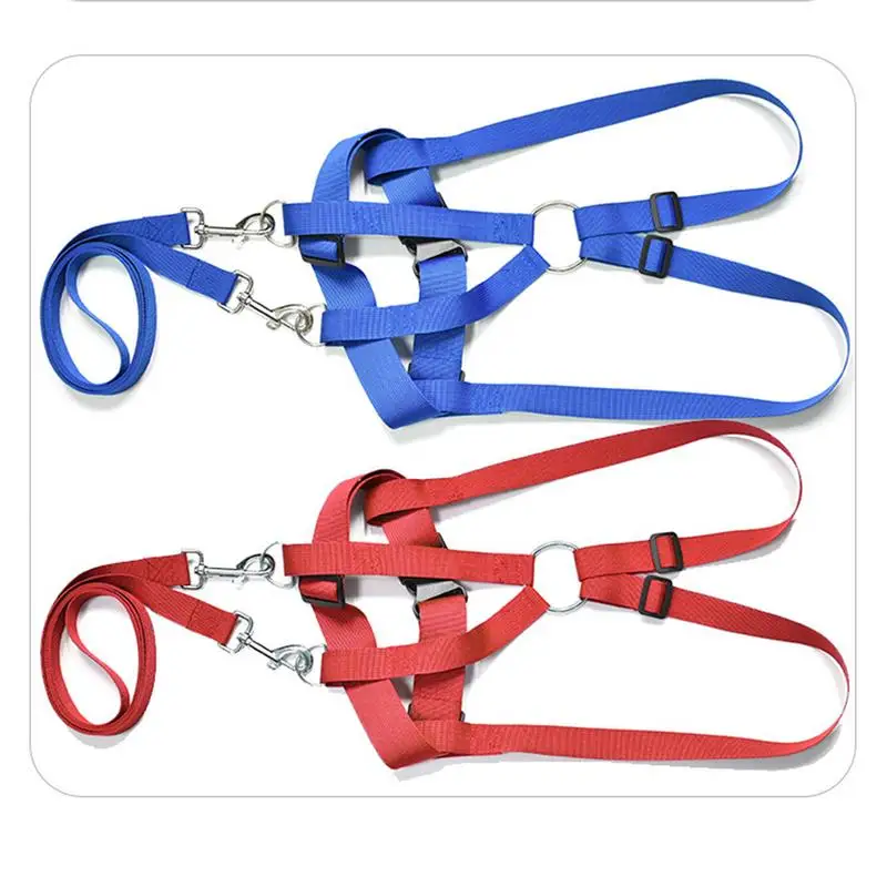 Harnais de cheval pour enfants, plomb de cheval réglable pour enfants, équipement de jeu d'équitation résistant à l'usure, outil de jeu de rôle pour la famille et les amis