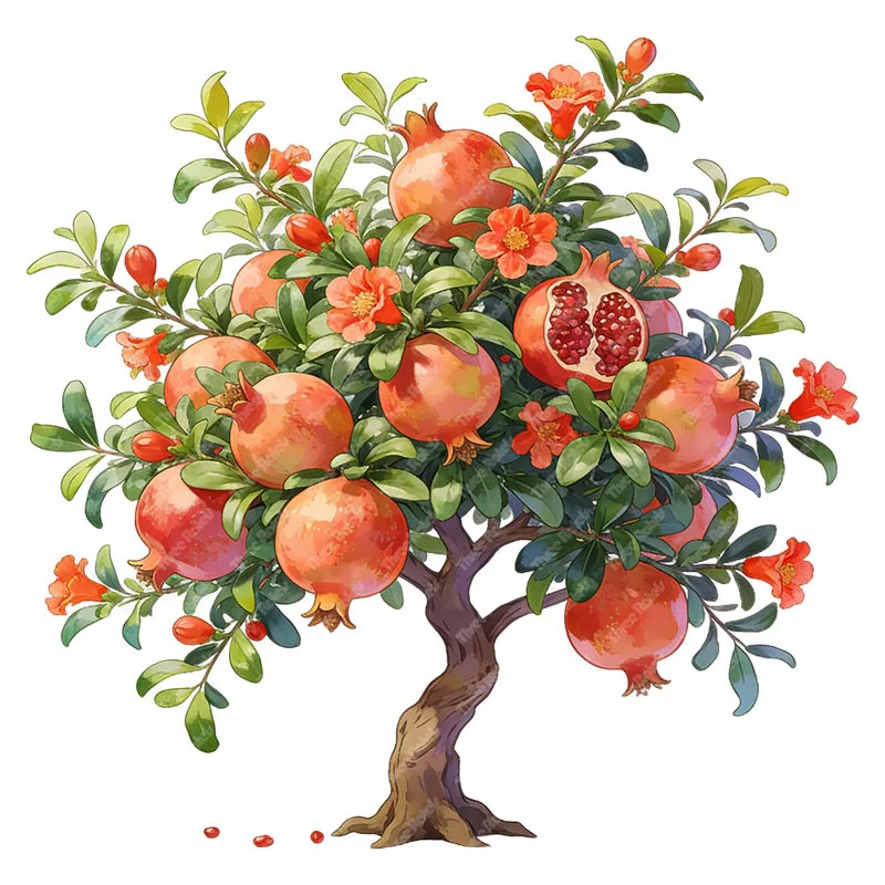 Three Ratels CEE208 Harvest pomegranate trees serve as home decorations Kitchen decals