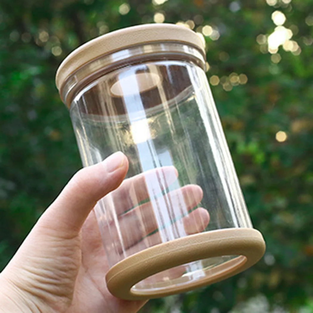 2PCS Transparent PET Flower Pot for Small Potted Plants Designed to Minimize Water Waste While Supporting Consistent Hydration