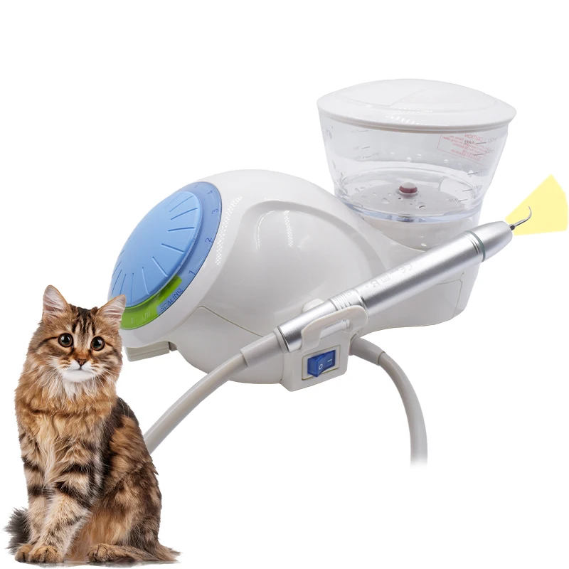 Low Price Veterinary Equipment Auto-water Supply Device Veterinary Ultrasonic Den tal Scaler For Pet Hospital