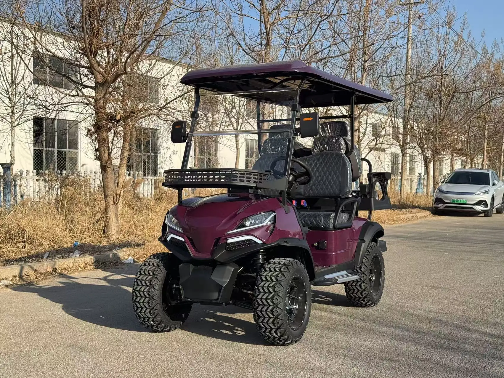 2/4/6/8 مقاعد الصيد عربة جولف الكهربائية على الطرق الوعرة عربات الغولف سيارة عربات التي تجرها الدواب سكوتر الغولف #3