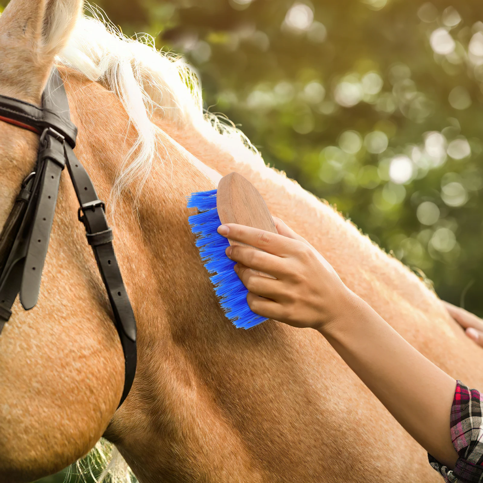 

Horse Grooming Brush Wooden Stiff Bristle Tool Comfortable Grip Horse Hair Cleaning Comb for Grooming Supply Animal Hair Brush