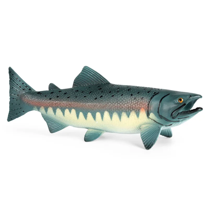 

Simulation of solid marine animal model Children's cognitive science and education Plastic toys New salmon ornaments