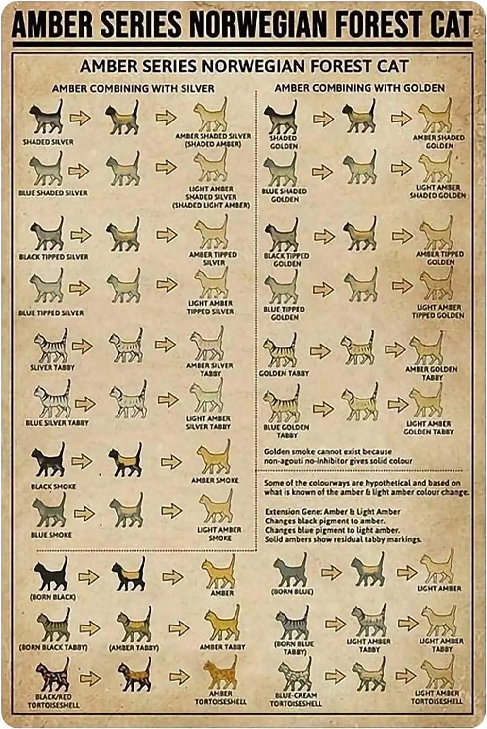 Cat Literacy Metal Tin Signs Vintage Amber Series Norwegian Forest Cat Poster Cat Owner Guide Plaques Pet Shop Cat House Ho sign