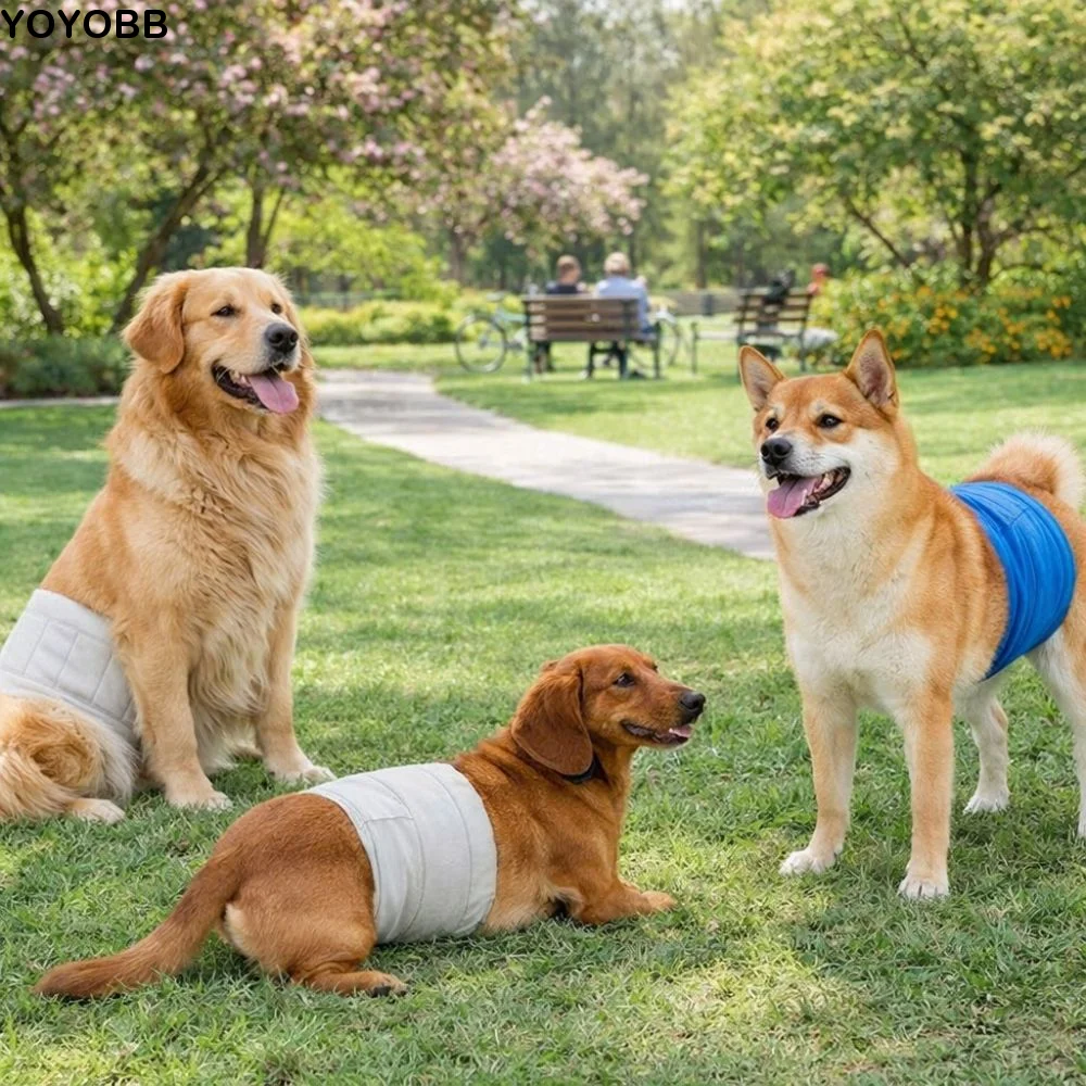 

Breathable Dog Physiological Pants High Absorbing Leak-proof Pet Underwear Washable Comfortable Male Dog Diapers Anti Estrus