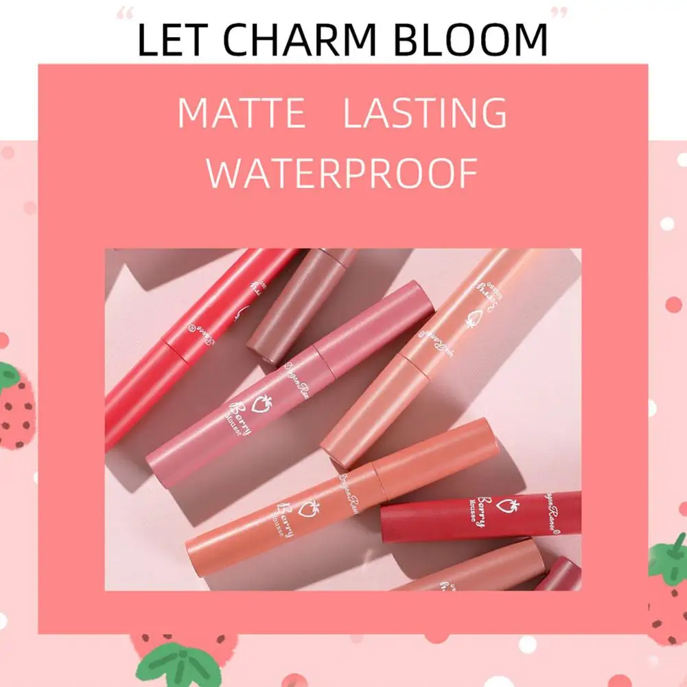 Set Waterproof Velvet Matte Nude Lip Gloss Sexy Long Lasting antiaderente Cup Nude Red Liquid Lipstick Makeup Korea Cosmetics