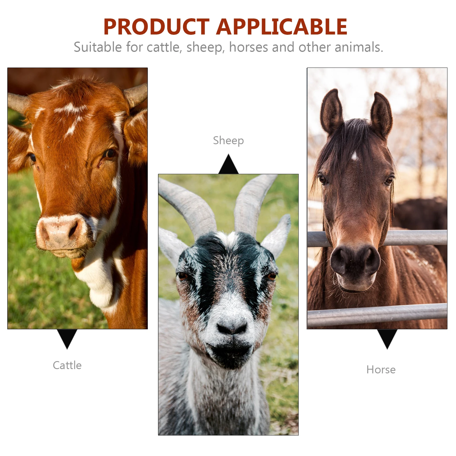 

2Pcs Anti-Lost Pet Iron Grazing Bell Durable Lightweight Cow Horse Sheep Bell Practical Livestock Supply Farming Sound