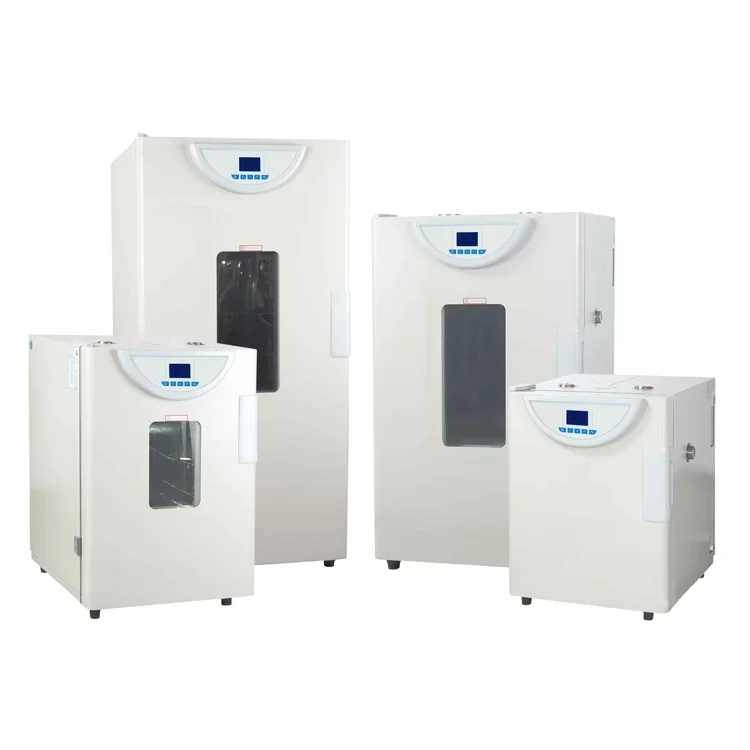 Ce Approved Dry Heat Sterilization Oven Laboratory Forced Hot Air Circulation Drying Oven