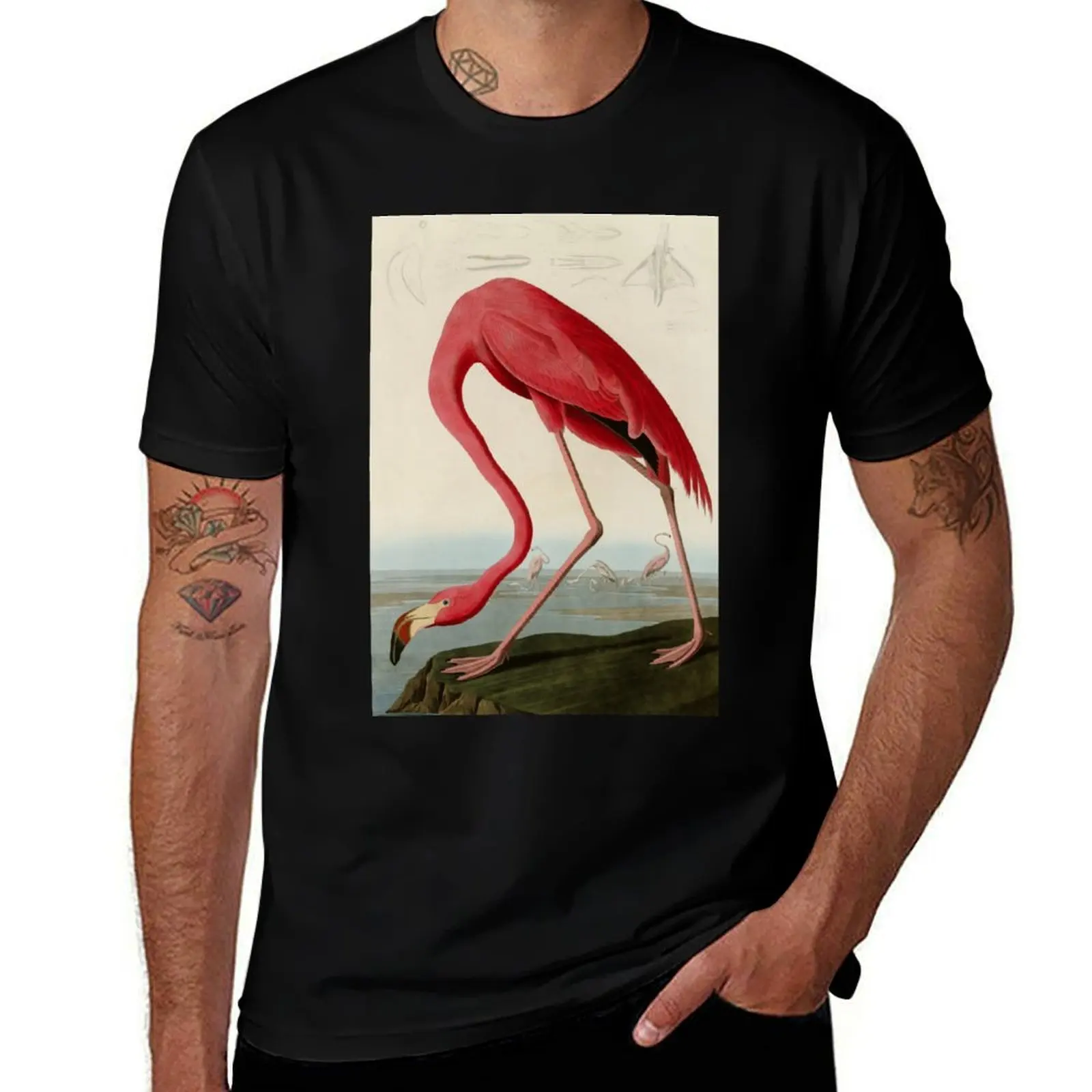 

American Flamingo by John James Audubon, Vintage Illustration T-Shirt Performance Dry Fit T-Shirt