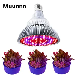 LED Phyto Grow Light E27 Voll spektrum Phytolamp E14 Pflanzen birne UV-Lampe für Gewächshaus Blumen samen LED Hydro ponik Wachstum Licht
