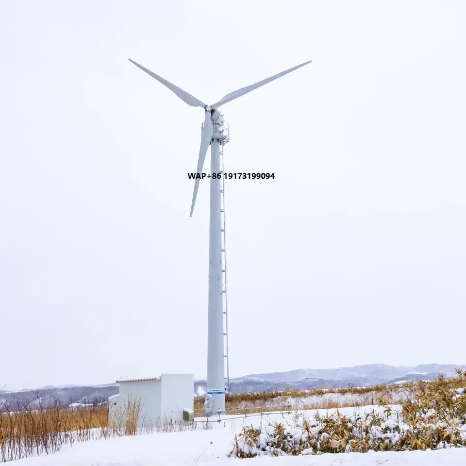 China Manufacture 20Kw 220V Horizontal Wind Turbine Matched With Optimized Aerodynamic Shape and Structure