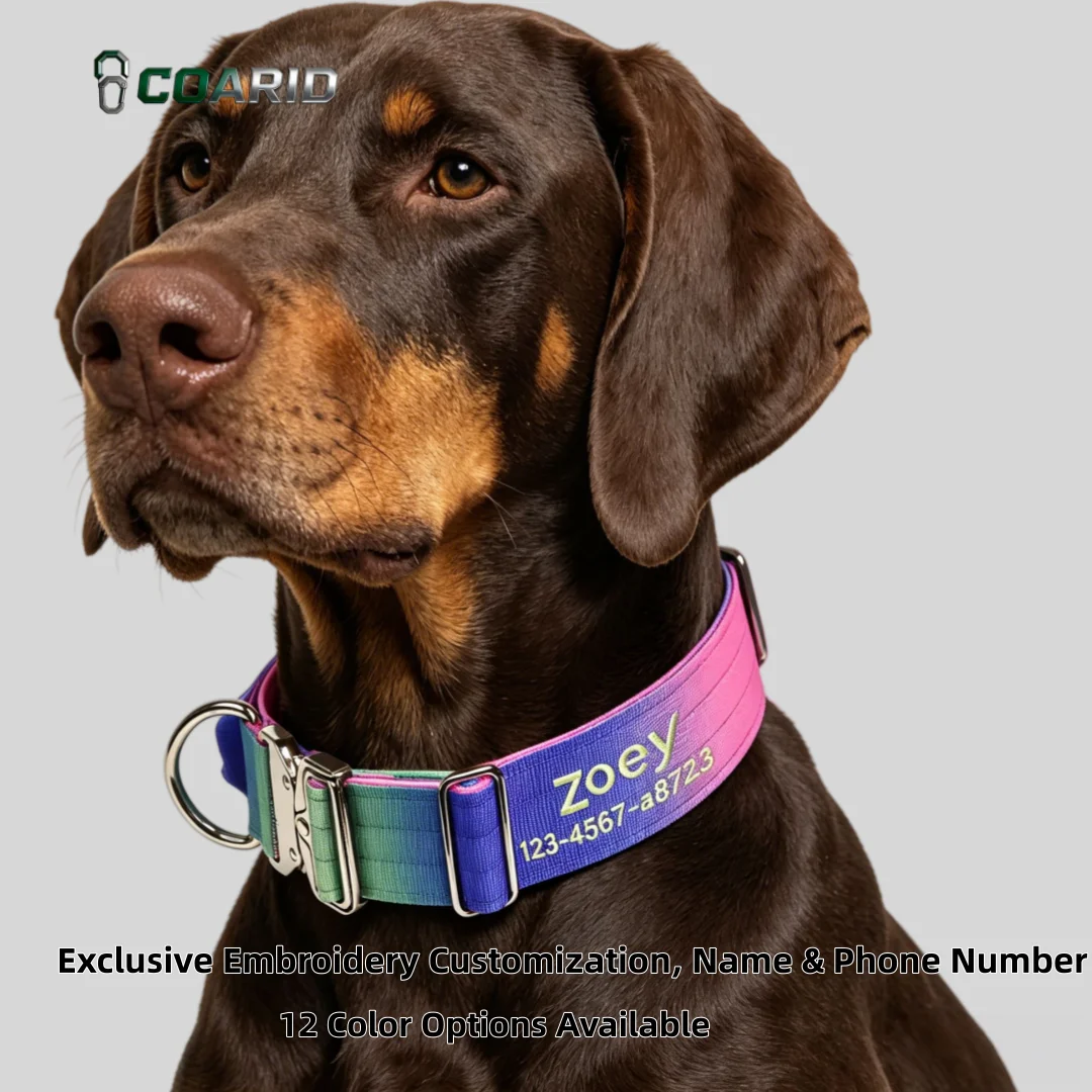 

Custom Gradient DogCollarwithName Engraved12 ColorsPersonalized Knitted Pet Collar Heavy Duty Metal Buckle for Medium Large Dogs