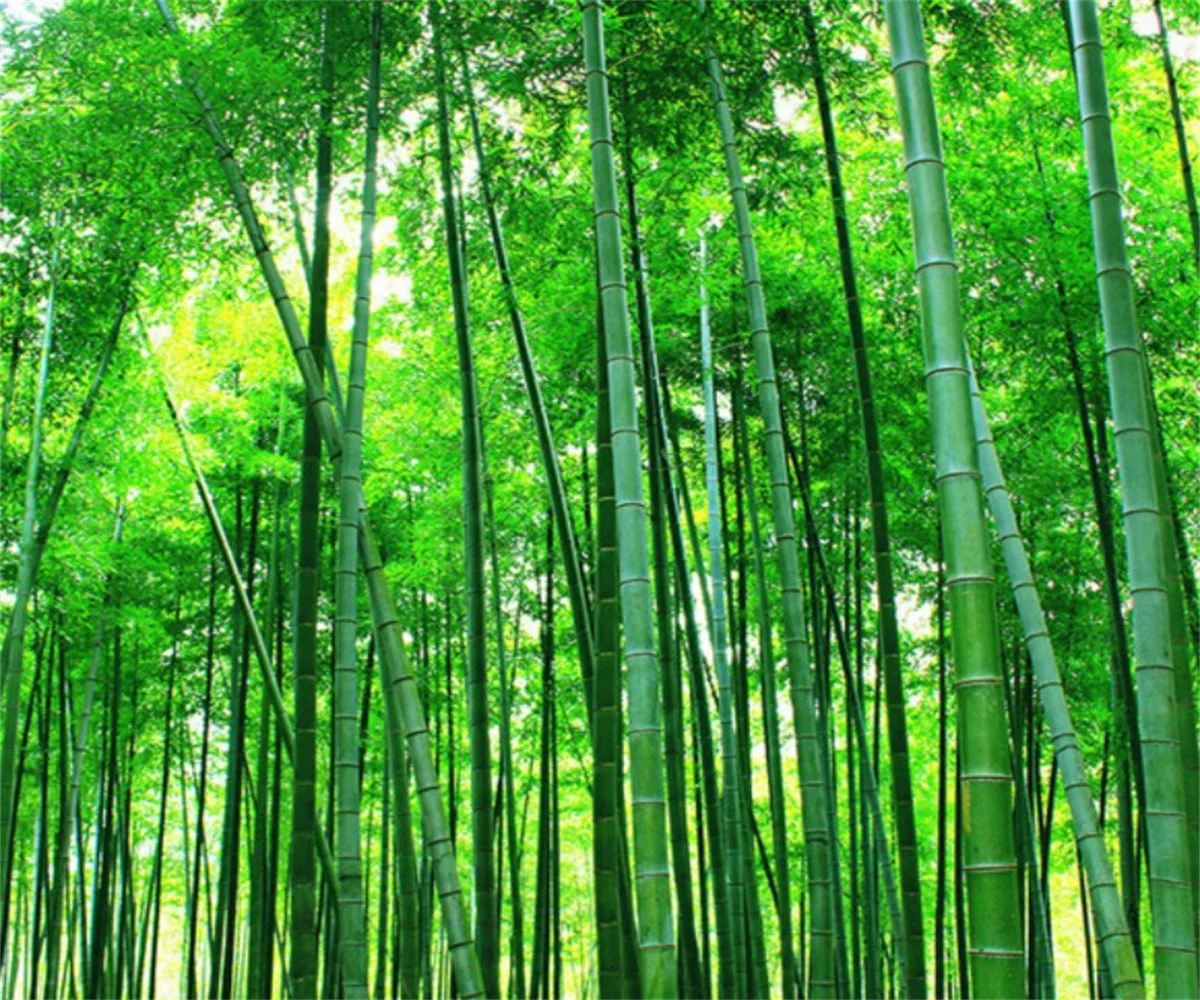 

Customized size wallpaper, bamboo forest, bamboo leaf mural, home decoration, green bamboo forest background wall 3d wallpaper