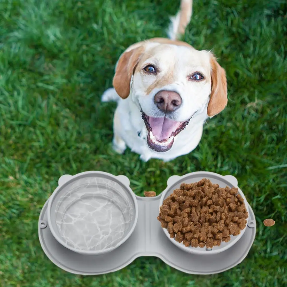 

Collapsible Silicone Dog Bowls, Non-Slip Mat, BPA Free, Portable, Travel, Pet Food Feeding, Dog, Cat Bowl for Hiking, Camping