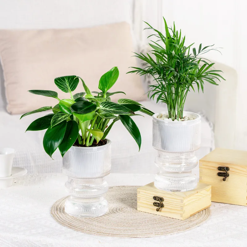 Self-Watering Lazy Flower Pot Creative Imitation Glass Transparent Plastic Resin Small Potted Plant Hydroponic Vase Indoor Succu