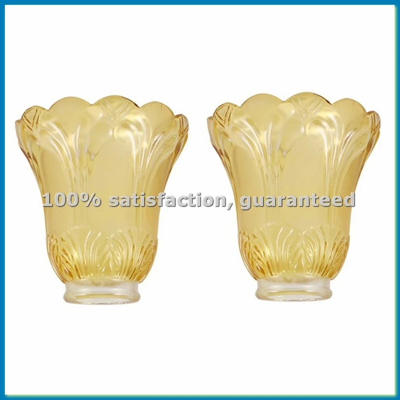 

2PCS Ceiling Fan Chandelier Frosted and Clear Glass Light Lamp Shade Replacement-ABYS