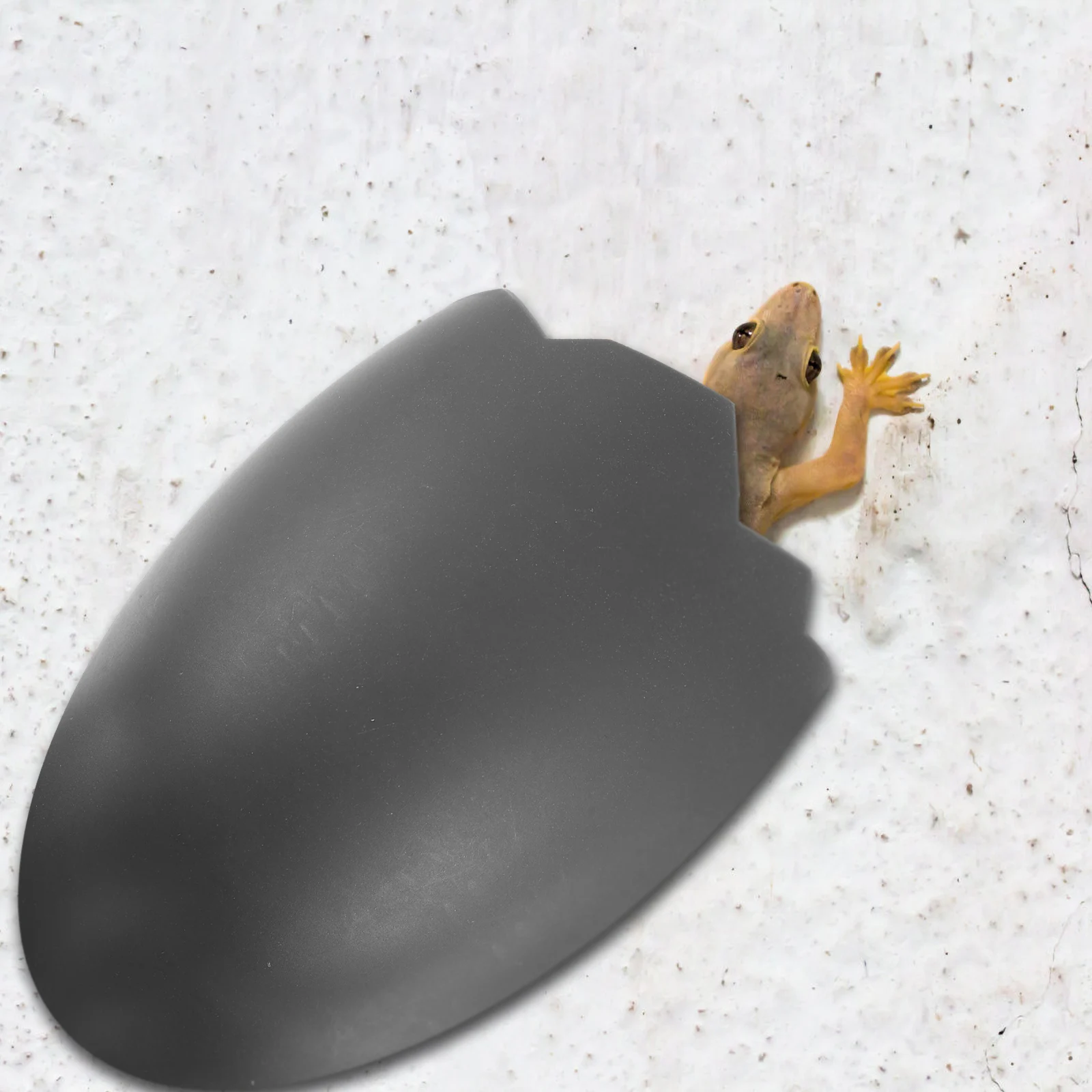 

1Pcs Plastic Reptile Hide Box Eggshell Shaped Hiding Place For Crawl Pets Multi-functional Decor
