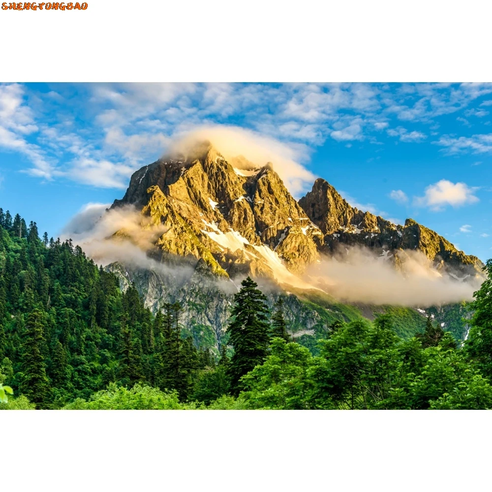 ฤดูร้อนทิวทัศน์ธรรมชาติฉากหลังสําหรับถ่ายภาพภูเขาน้ําตกป่าดอกไม้Riverภูมิทัศน์เด็กภาพพื้นหลัง