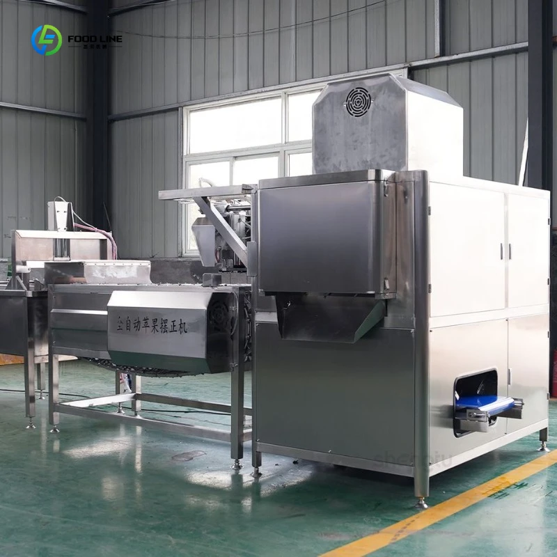 High-Performance Fruit Orientation and Pitting Machine for Smooth Operations FL Customized