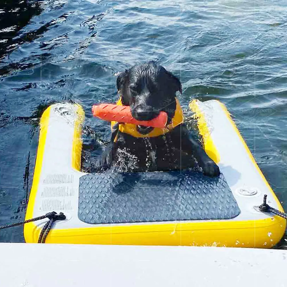 

Portable Inflatable Boat Ramp Float Ramp Ladder on Water Pet Boat or Pool Floating Climb Air Dock Platform Dog Ramp
