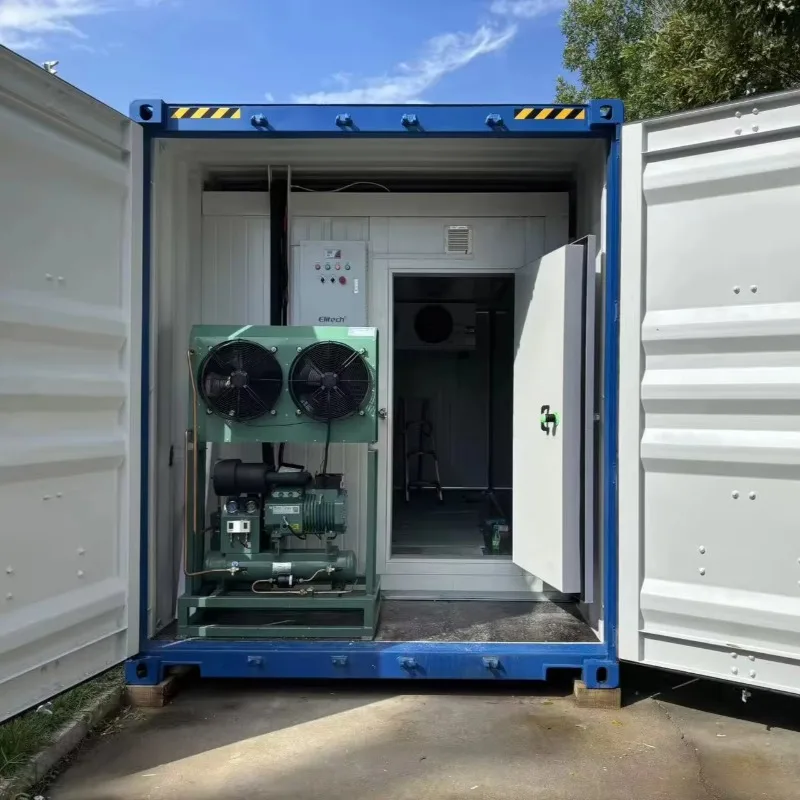 

Commercial 20FT 40FT Container Cold Room -25℃ Deep Freezer Fresh Meat Storage Precise Temp Control Meat Processing Plant