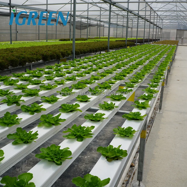 Komercyjny system hydroponiczny NFT