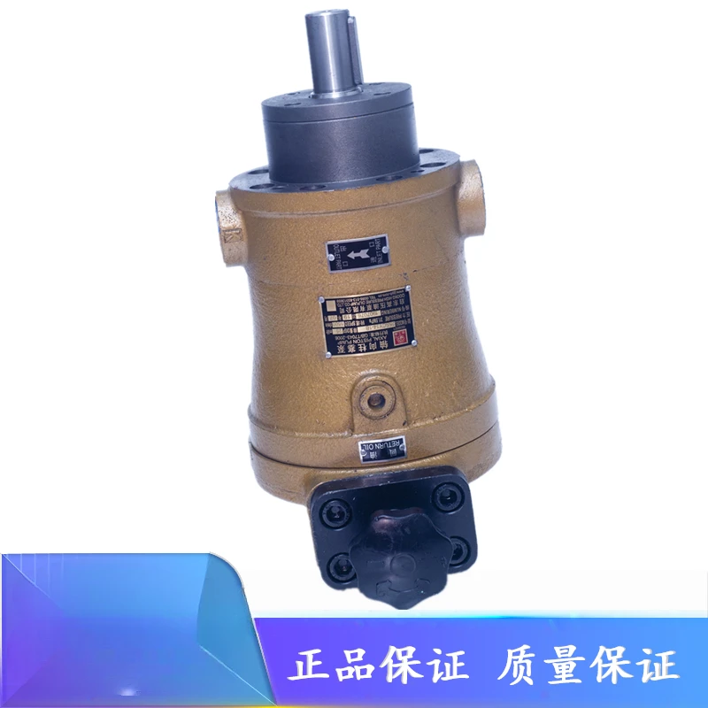 High Voltage Cy Precision Brand 10/25/40/63/80/100/160/250/400SCY14-1B Plunger Pump