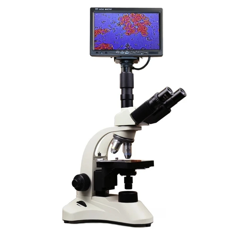 Binocular Microscope, Model PH50-3A43L-A, 1600x Magnification, 195mm Working Distance for Lab Observation