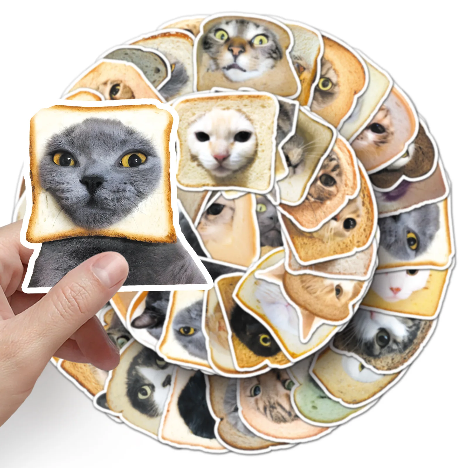 50 шт. забавный хлеб, наклейка с головой кошки, канцелярские принадлежности, мультяшный милый питомец, детский забавный термос, чемодан, ручной счет