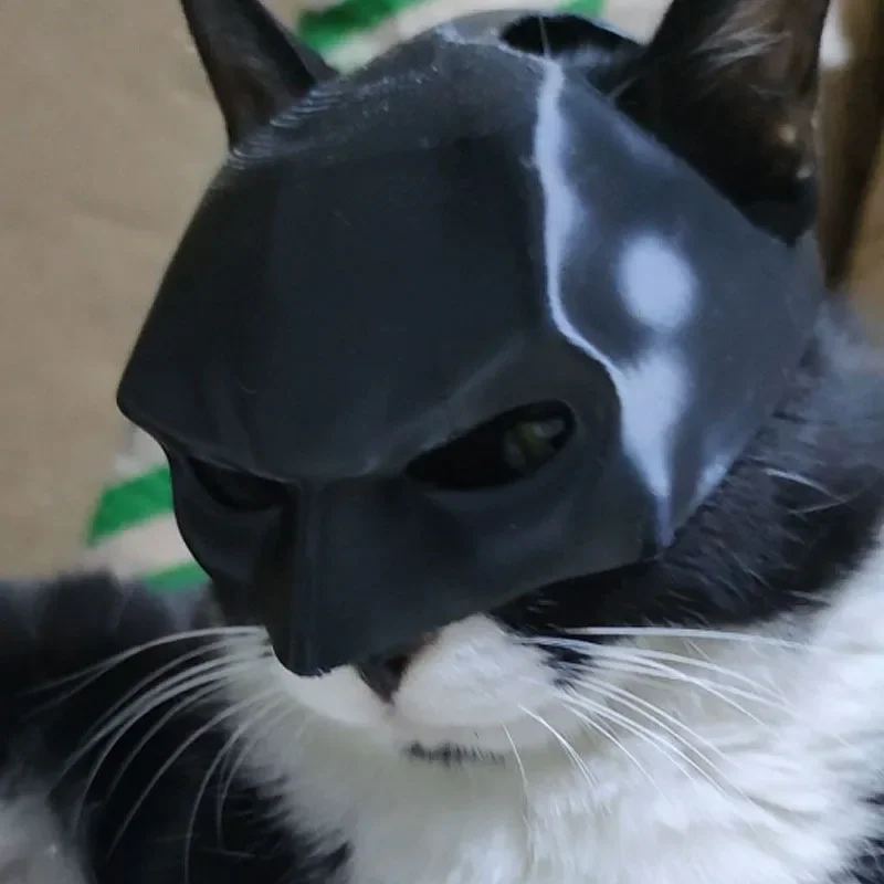 Matte Cute Batcat Avenger Mask Cat Mask Pet Toy