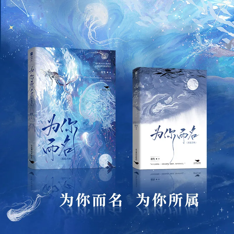 

Desharow Merman Original Novel Vol. 1: Desahrow & Agaras - Fantasy Romance Chinese BL Fiction Book