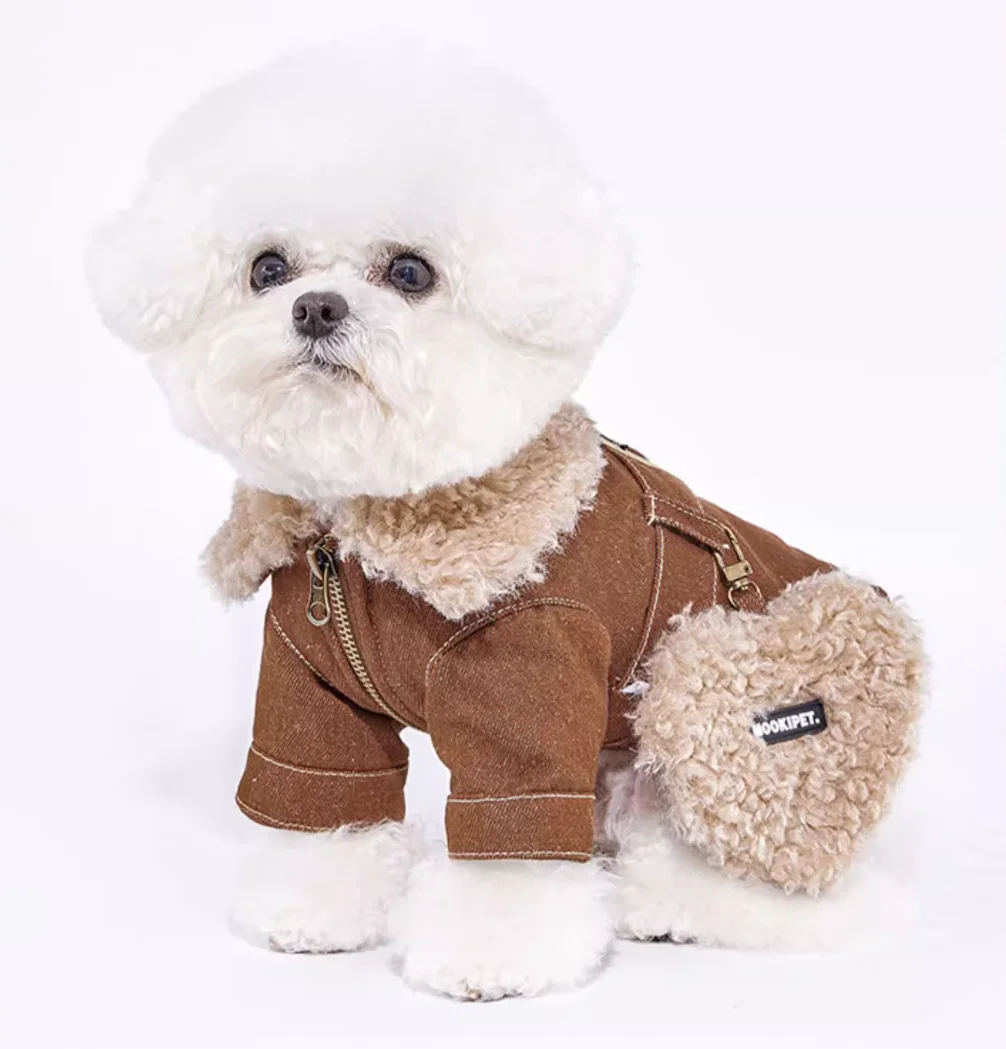 Warm Windproof Monochromatic Dog Coat, Cotton Designer Clothes for Large Dogs, Puppy Accessories, Winter