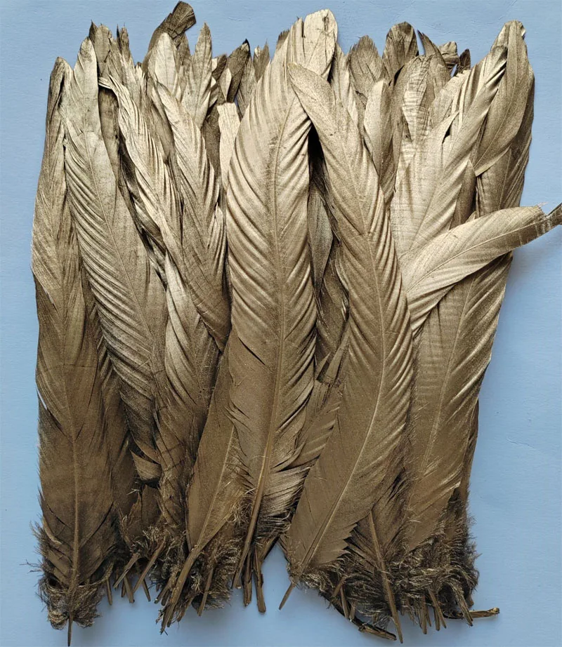 

50 шт./лот! 25-30 см позолоченные натуральные перья петуха, ручная роспись COQUE TAIL FEATHERS для фабрики, поделок, расходных материалов