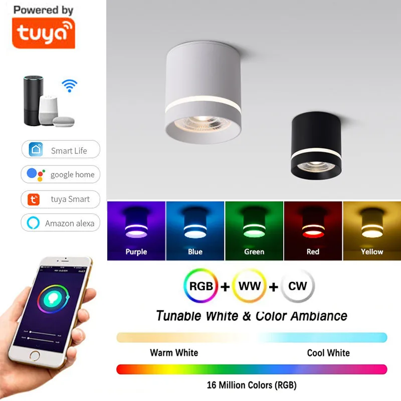 Tuya RGB+CCT Dimmable Smart WIFI Blue-tooth APP Control Surface Mounted Ceiling Light LED Down Light Spotlight