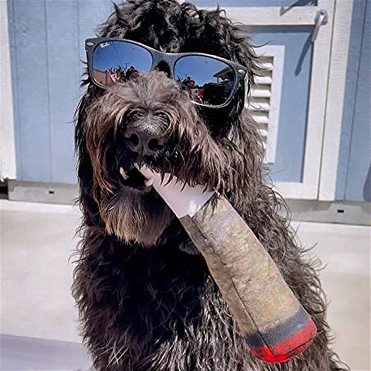 AT77 웃긴 개 장난감 - 중형, 소형용 봉제 삐걱거리는 장난감 - 개 생일을 위한 멋진 인형 귀여운 선물