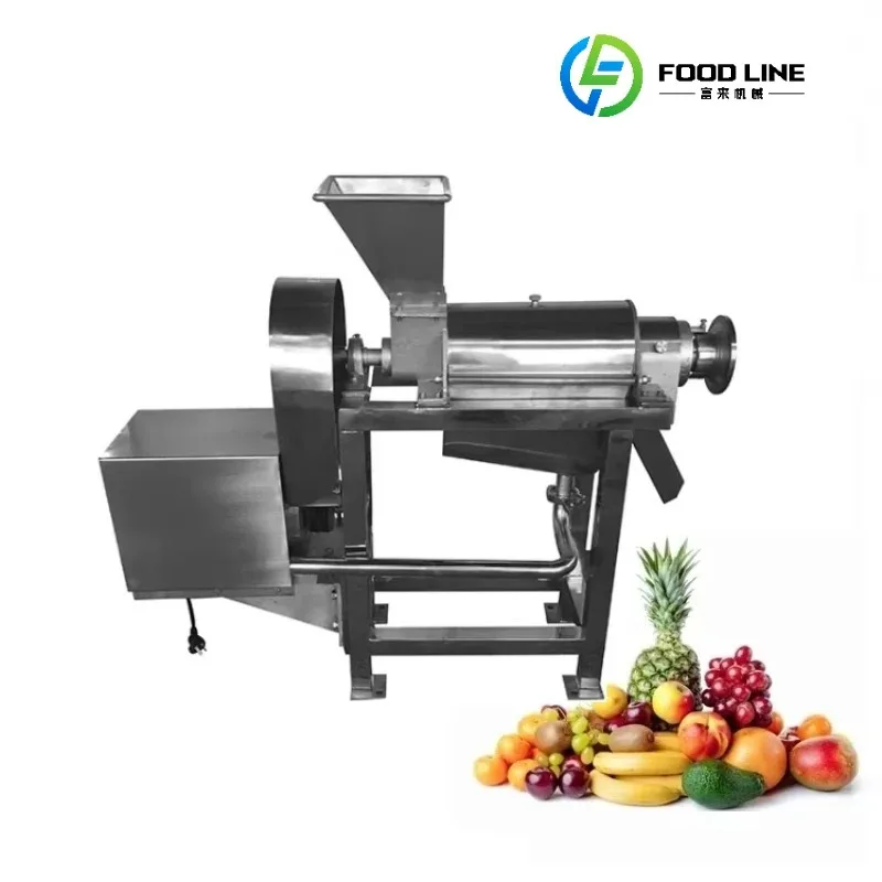 Juicer Make Pineapple Press Tomato Mango Extract Pulp Pulper Coconut Milk Fruit Juice Extractor Machine Customized